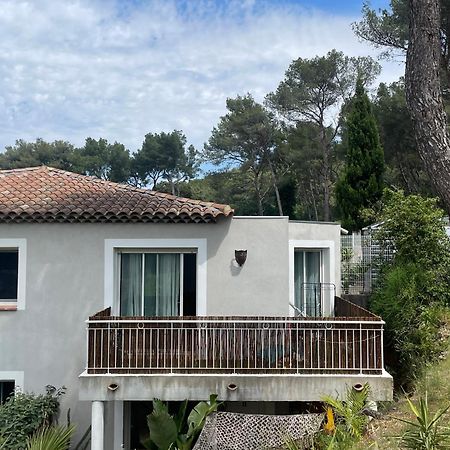 Appartement Proche Des Plages Carqueiranne Εξωτερικό φωτογραφία